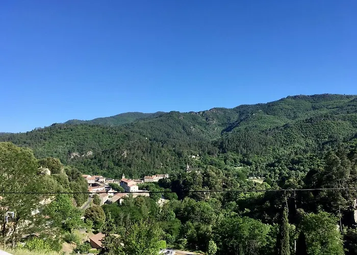 Le Tour 45 M2 Cevennes Lozere דירה *